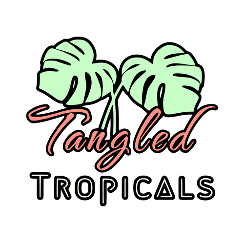 Tangled Tropicals 